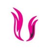 logo_1546016