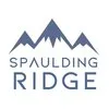 logo_1721312