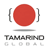 Tamarindglobalservicesprivatelimited_logo'