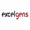 ExcelgensConsultingServicesIndiaPvtLtd_logo'