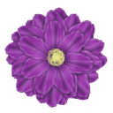 logo_1562628
