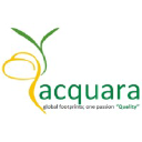 AcquaraManagementConsultant_logo'