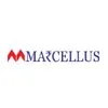 logo_1713716