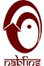 NABFINS_logo'