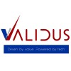 Validus Fintech Services