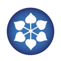 DCMSHRIRAMINDUSTRIESLTD_logo'
