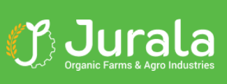logo_1675933