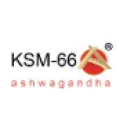 logo_1706129