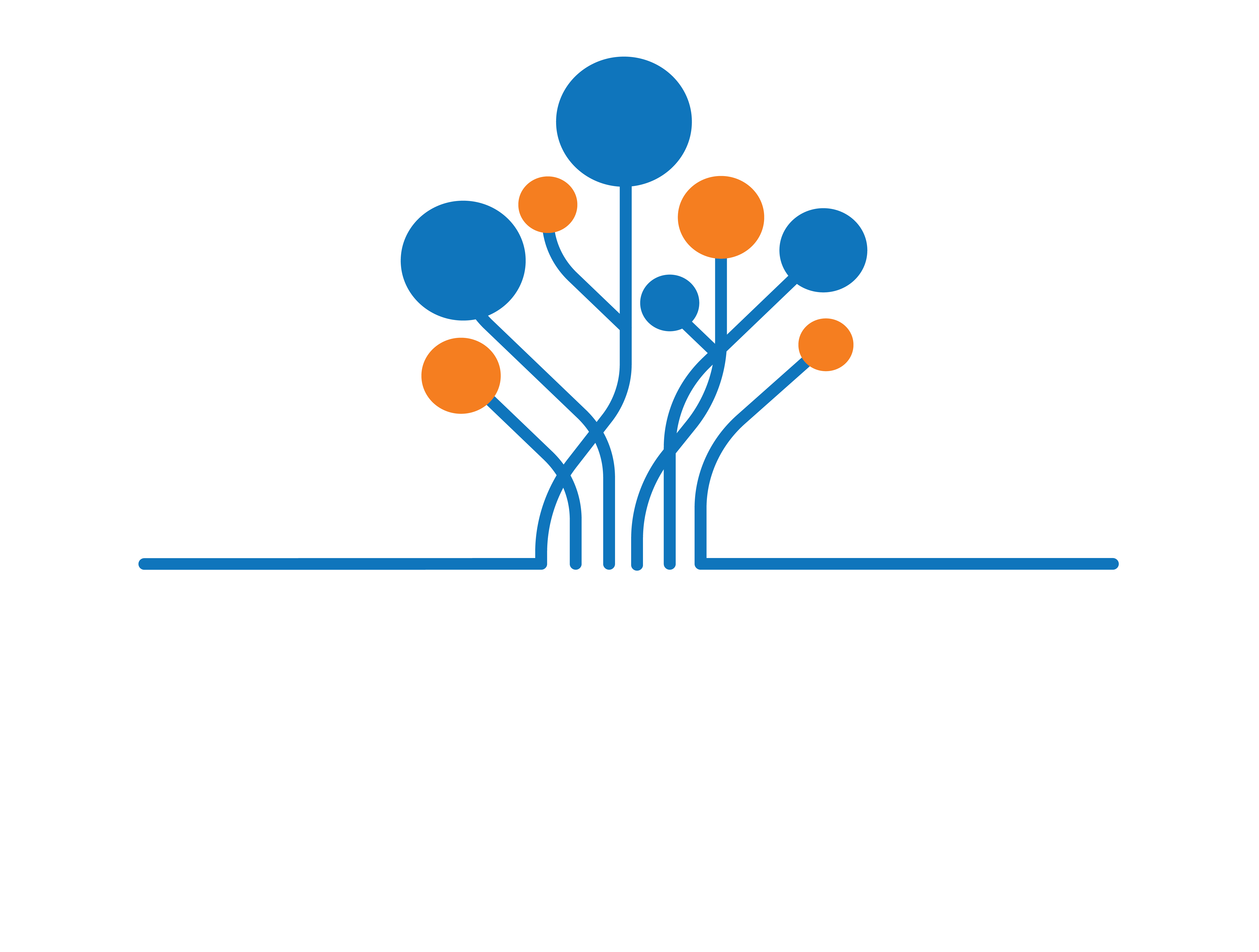 logo_1724241