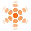 Optimum InfoSystem Pvt. Ltd.