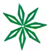 logo_1574029